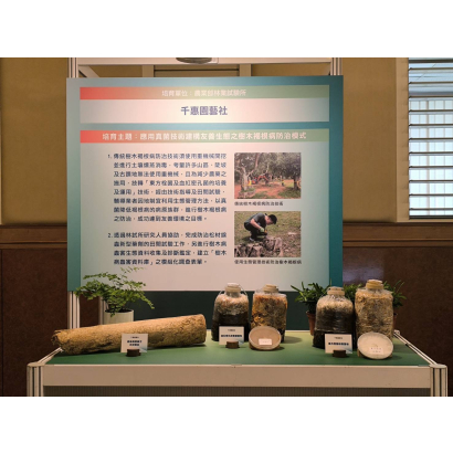 守護綠意：用「真菌對決」溫柔治癒樹木癌症