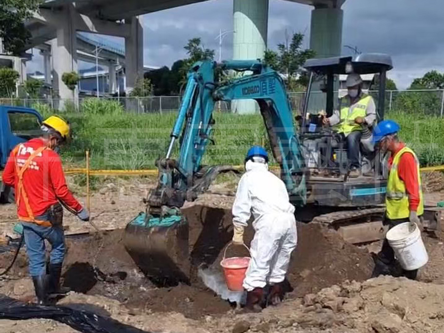  褐根病防治施工與處置流程