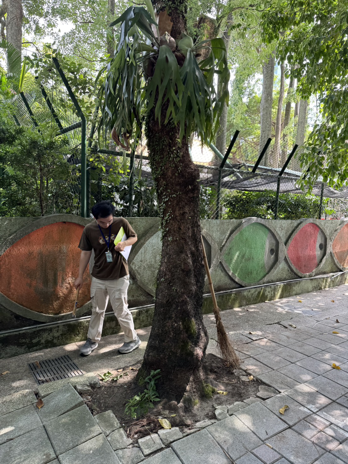 樹木風險評估現場檢測