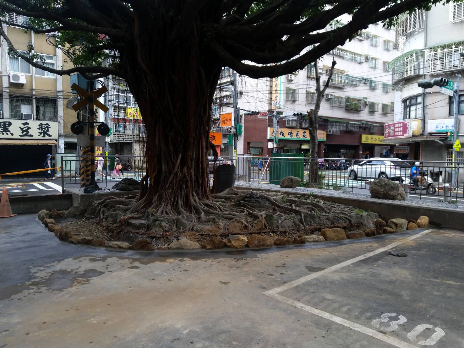 棲地改善成果照片