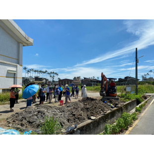 吳沙國中樹癌褐根病感染嚴重~縣府緊急移除防治