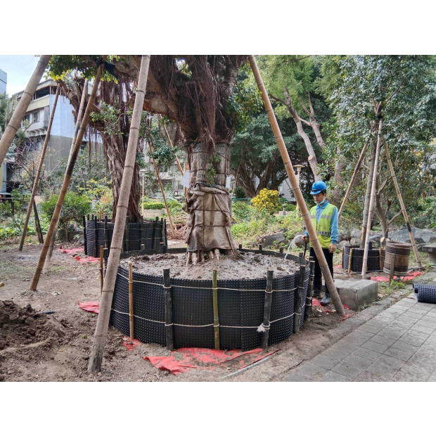 浩然敬老院樹木移植