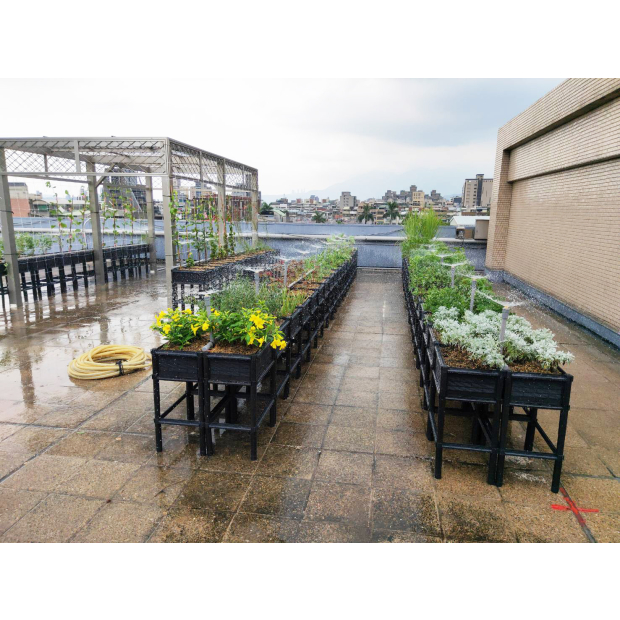 大橋國小綠屋頂