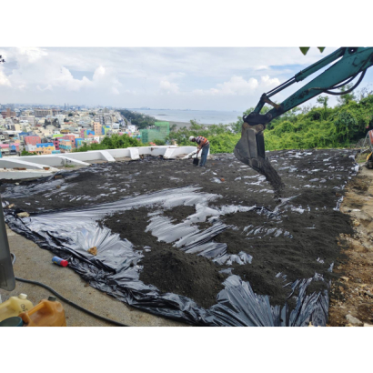 高雄燈塔樹木褐根病防治