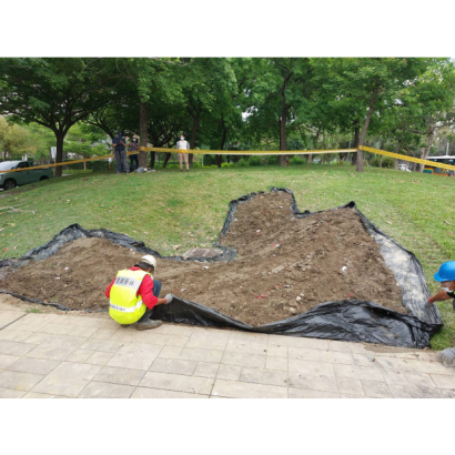 臺北市政府公燈處褐根病防治