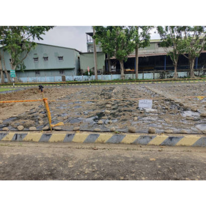 臺北區監理所考驗場褐根病防治