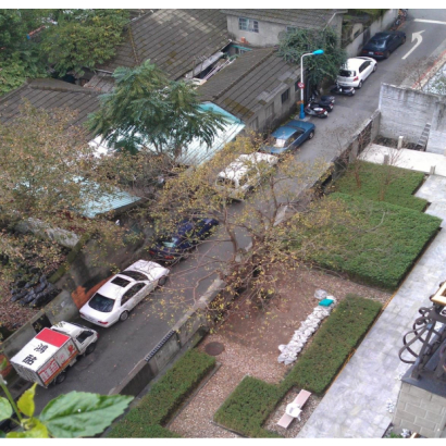 麗水松園朴樹外科手術